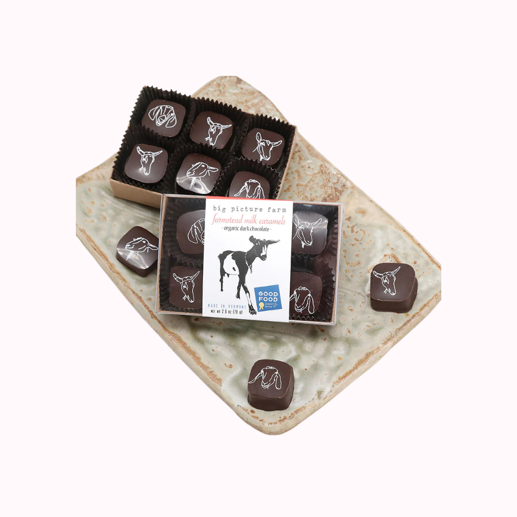 Big Picture Farm / Chocolate Covered Caramels | 6 piece by Big Picture Farm