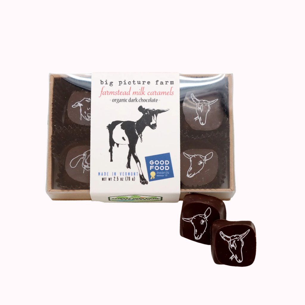 Big Picture Farm / Chocolate Covered Caramels | 6 piece by Big Picture Farm